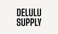 Delulu Supply - Home